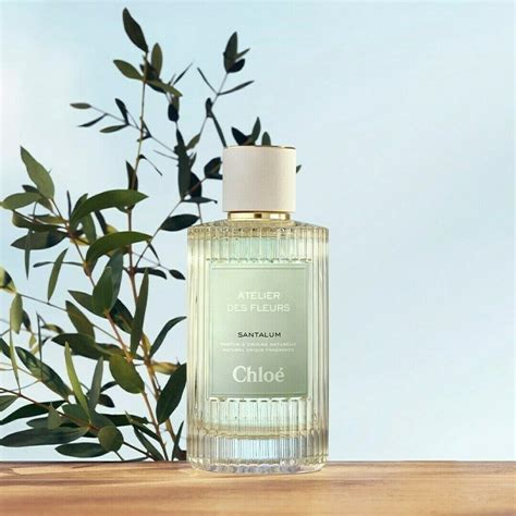 Santalum Chloé perfume 